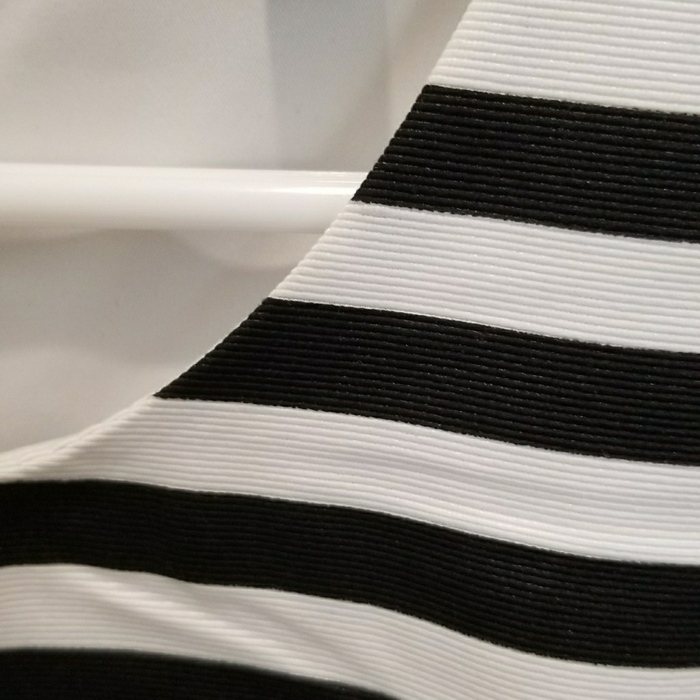 Express Dress - Picture 4 of 4